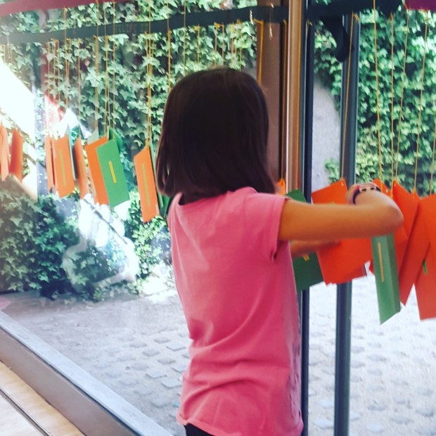 IMG_20170629_105215_295